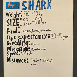 6b19aa69-ce5b-49c8-b3ec-2f900d506a4d-1-105-c.jpg