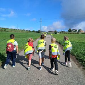 bild-4.jpg
