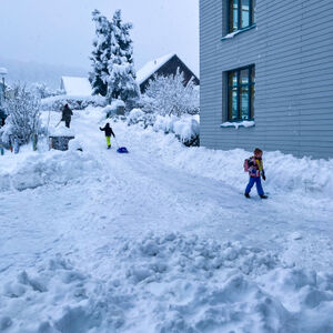 img-5020.jpg