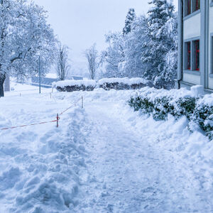 img-5032.jpg