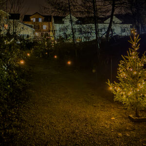 img-8950.jpg