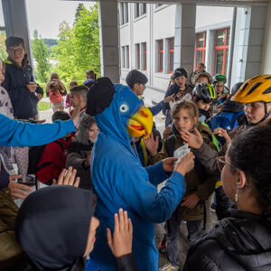 p5175654.jpg