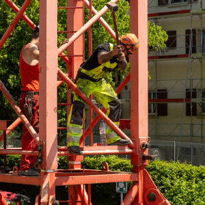 p5265757.jpg