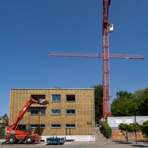 p5265787.jpg