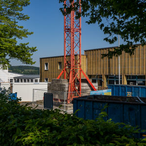 p5315867.jpg